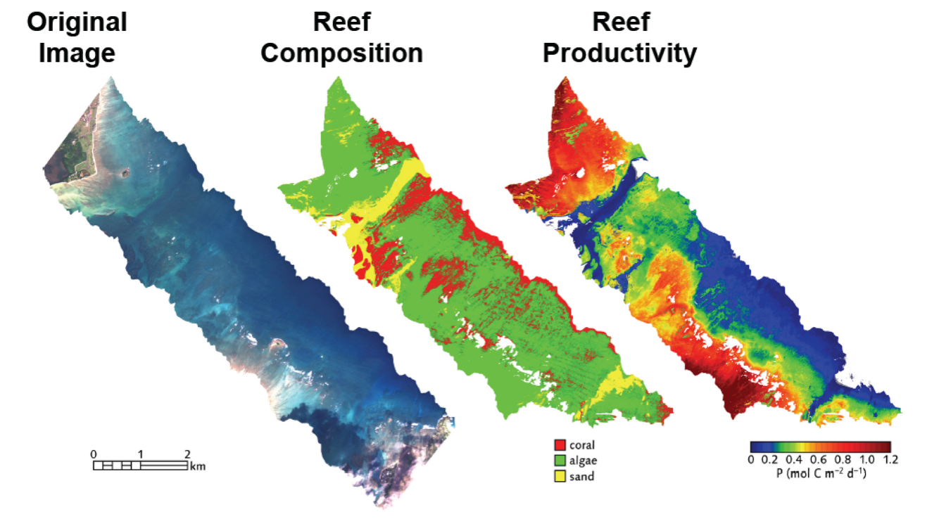 CORAL data maps