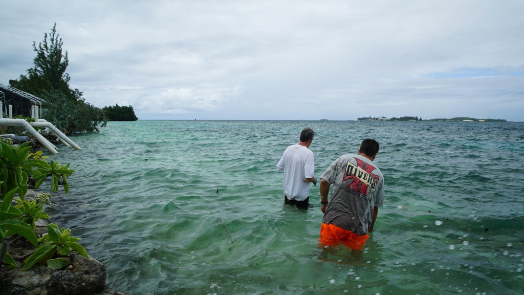 Scientists studying coral reefs