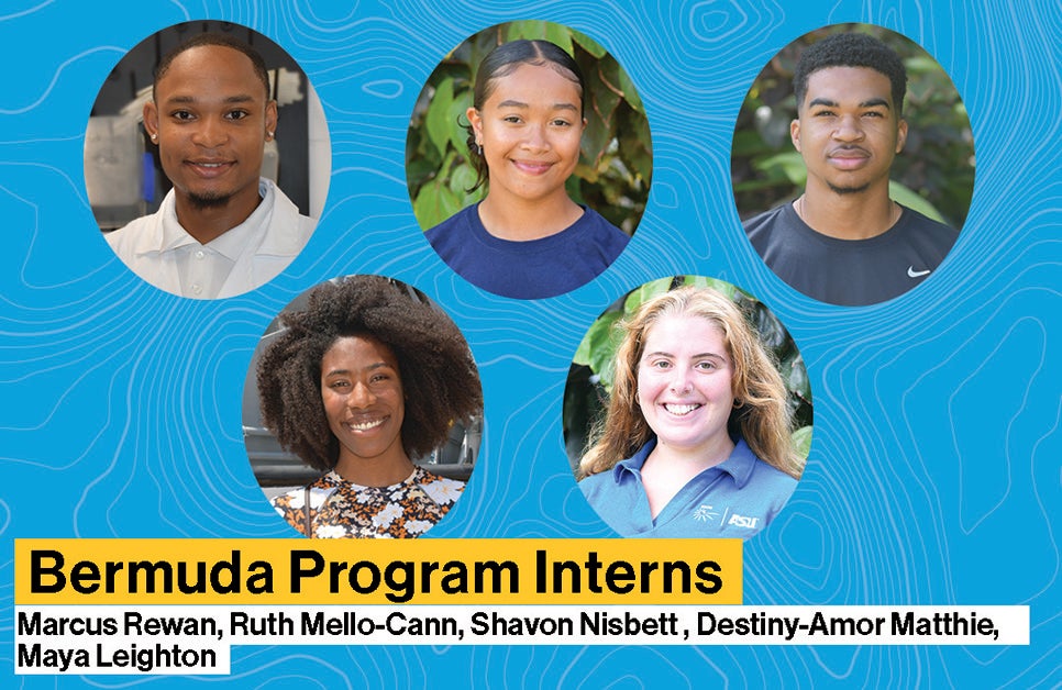 bermuda program interns