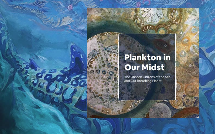 plankton art exhibit