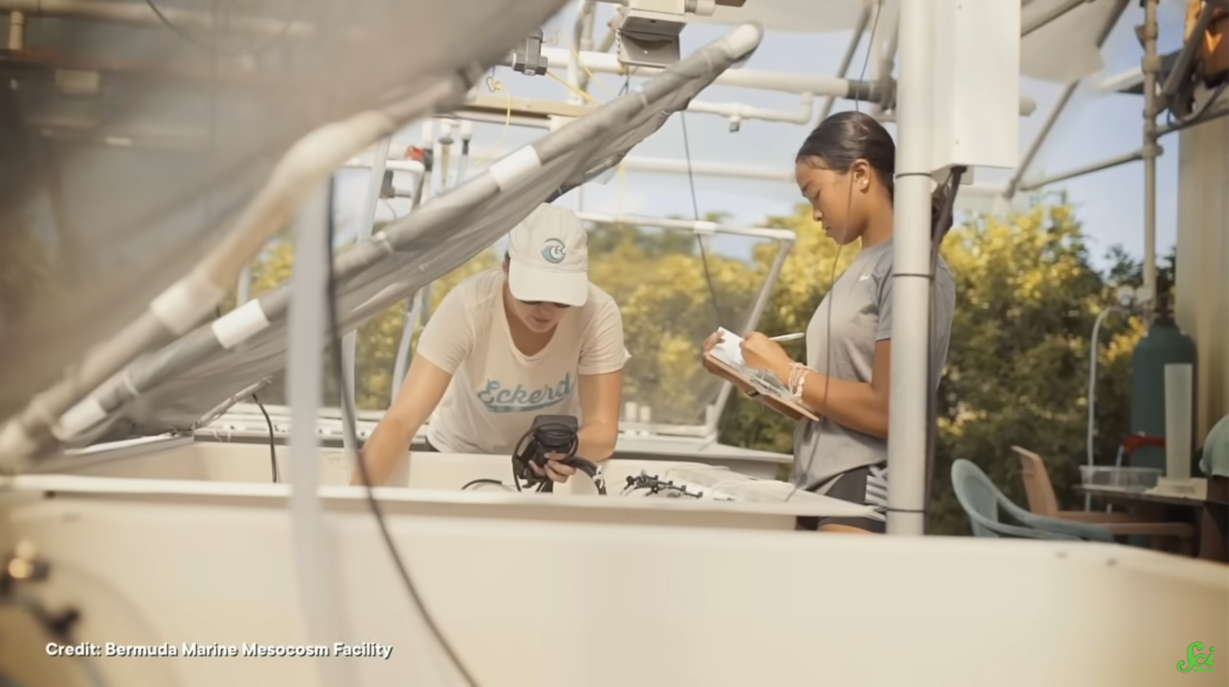 Two researchers at the Bermuda Marine Mescosm Facility