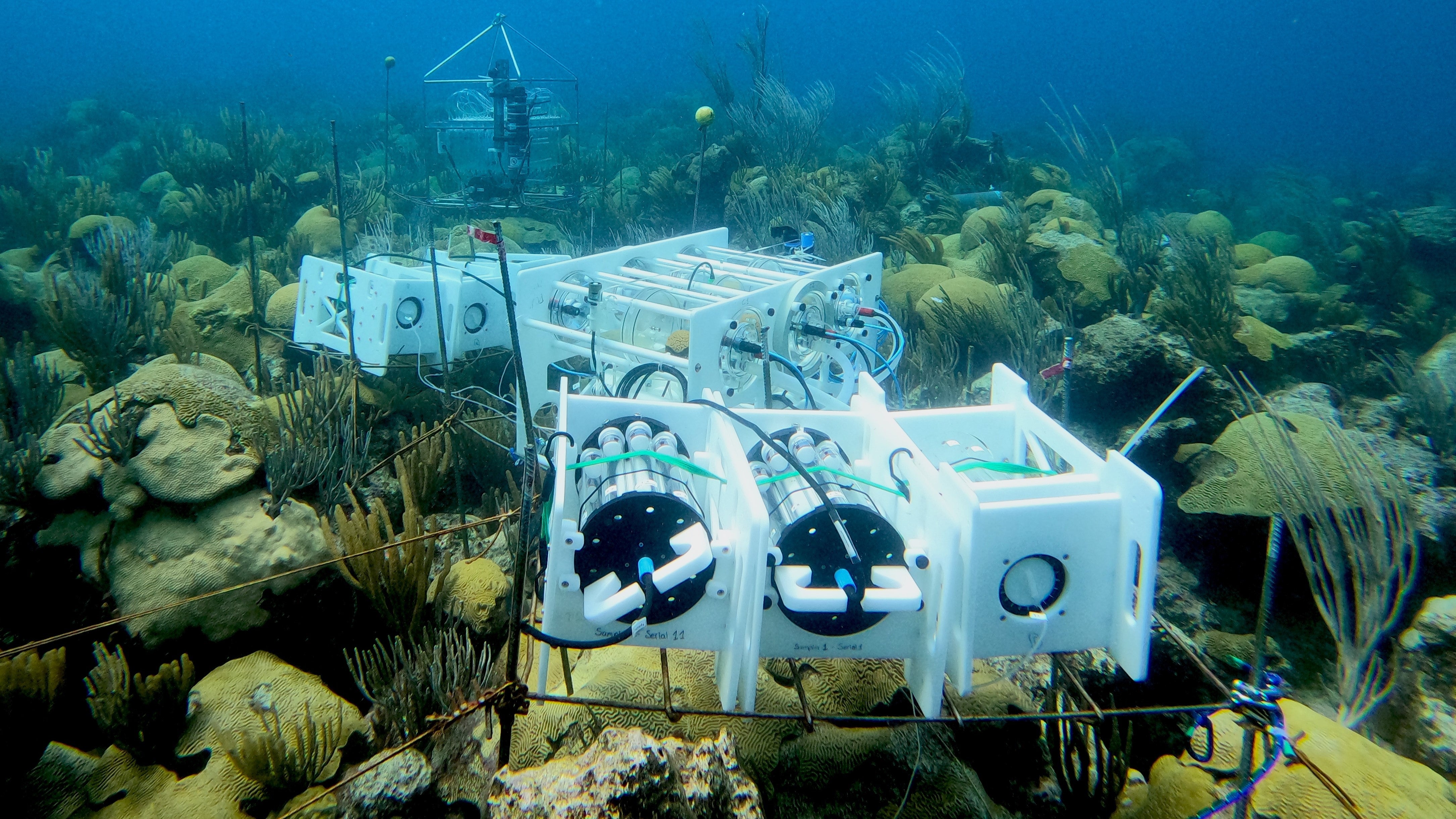 BIO-RESORT, RAS water sampler and SeapHOx sensors