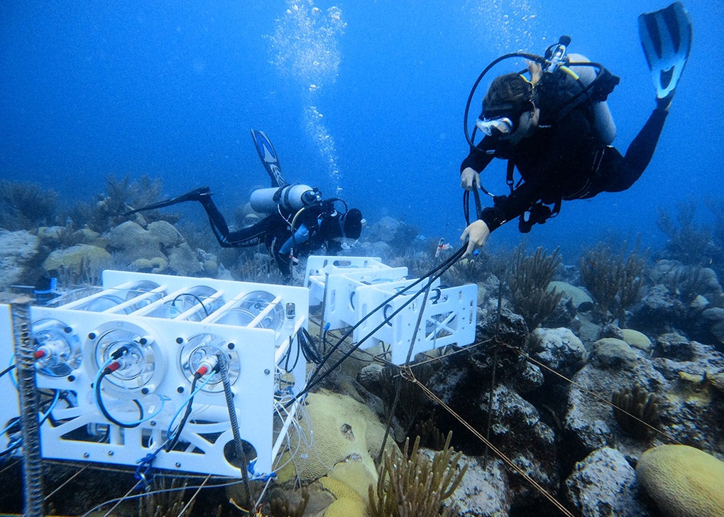 BIO-Resort-coral-eddy-currents