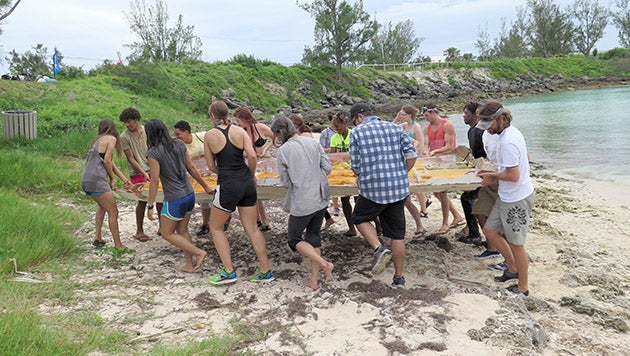 Coastal-Clean-up-REU-BIOS-Whalebone-Bay