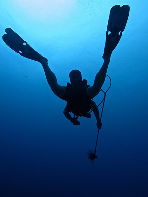 Lionfish-tournament-photo-competition