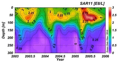 SAR11-contour-plot