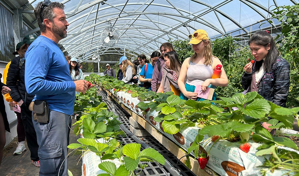 Sustainable-Barnard-course-Amaral-Farm