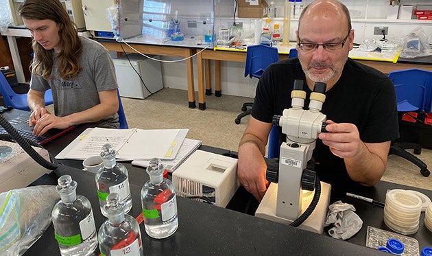 WHOI-MIT-BIOS-lab-Currents