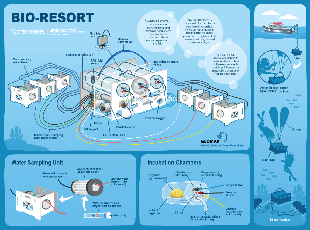 bio-resort