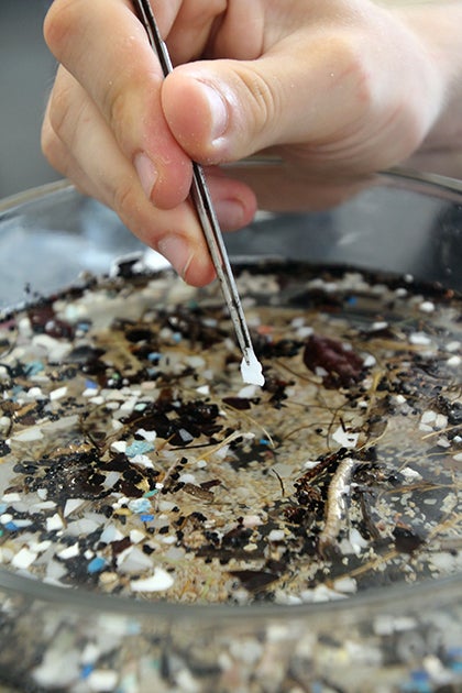 microplastics