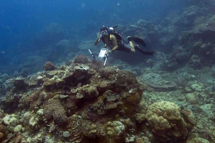 Diver on a reef in Palau after taking spectral measurements