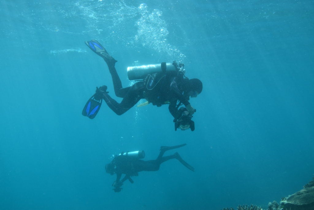 Divers use high resolution cameras to conduct reef surveys