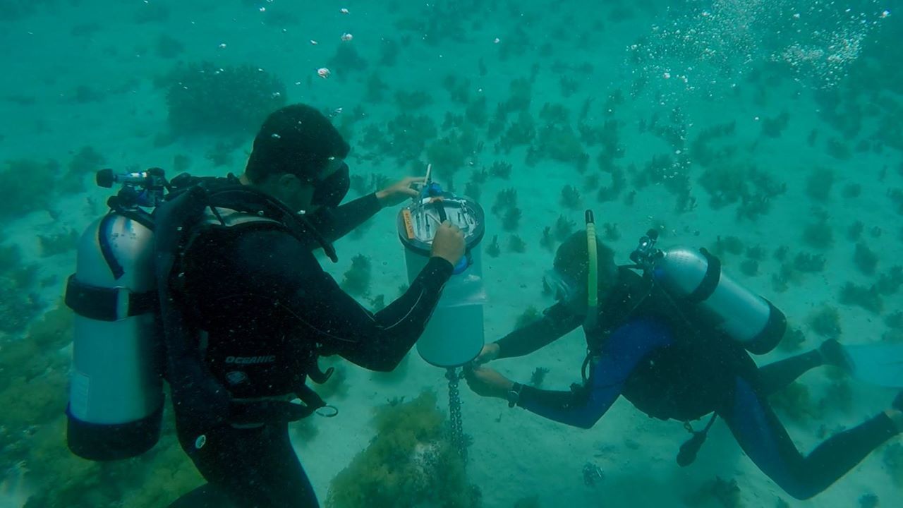 divers set up the gradient flux instrument