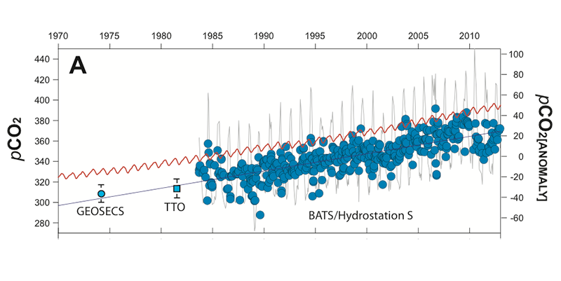 BATS-graph