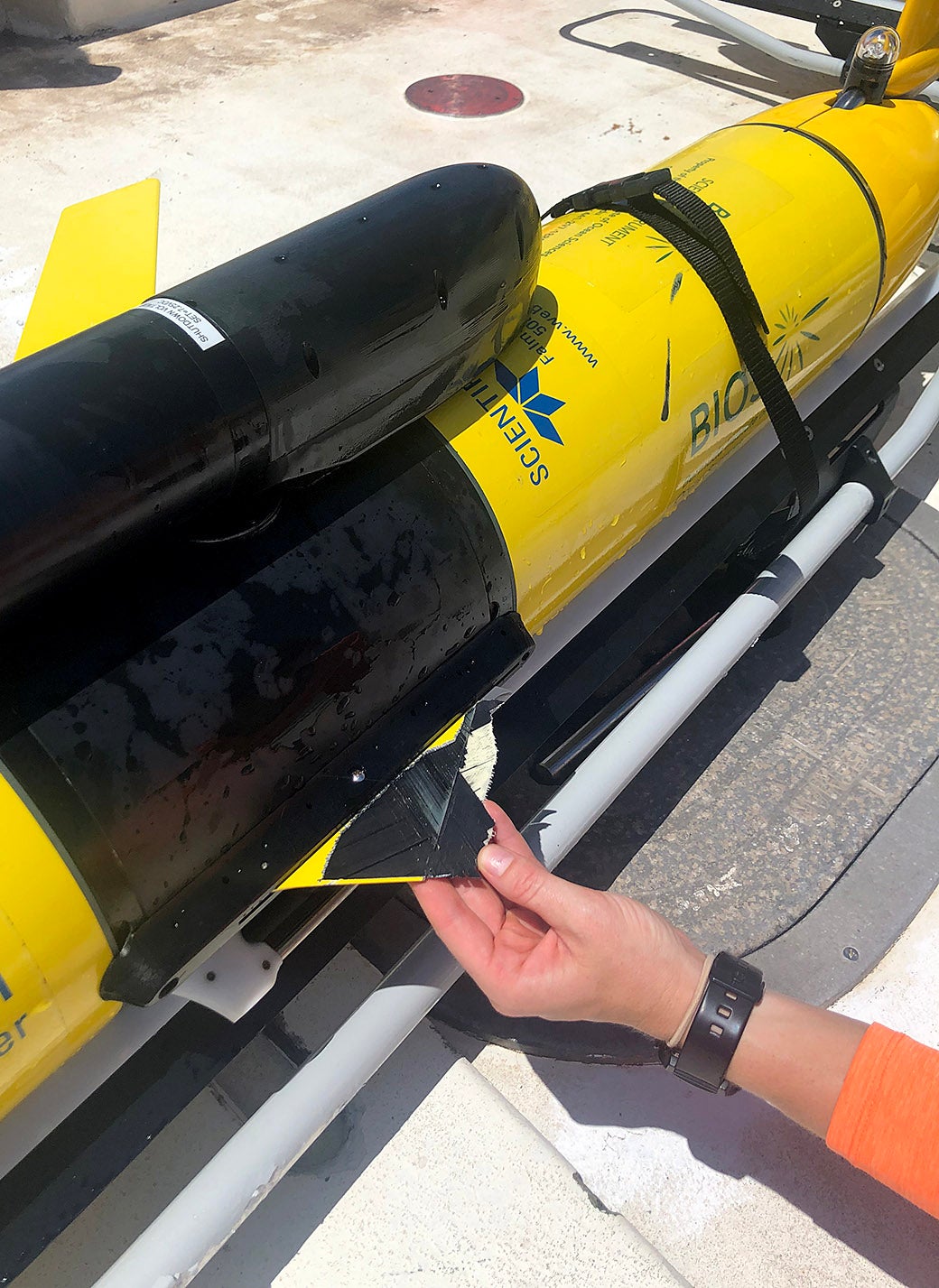 A shark bite on a glider's wing