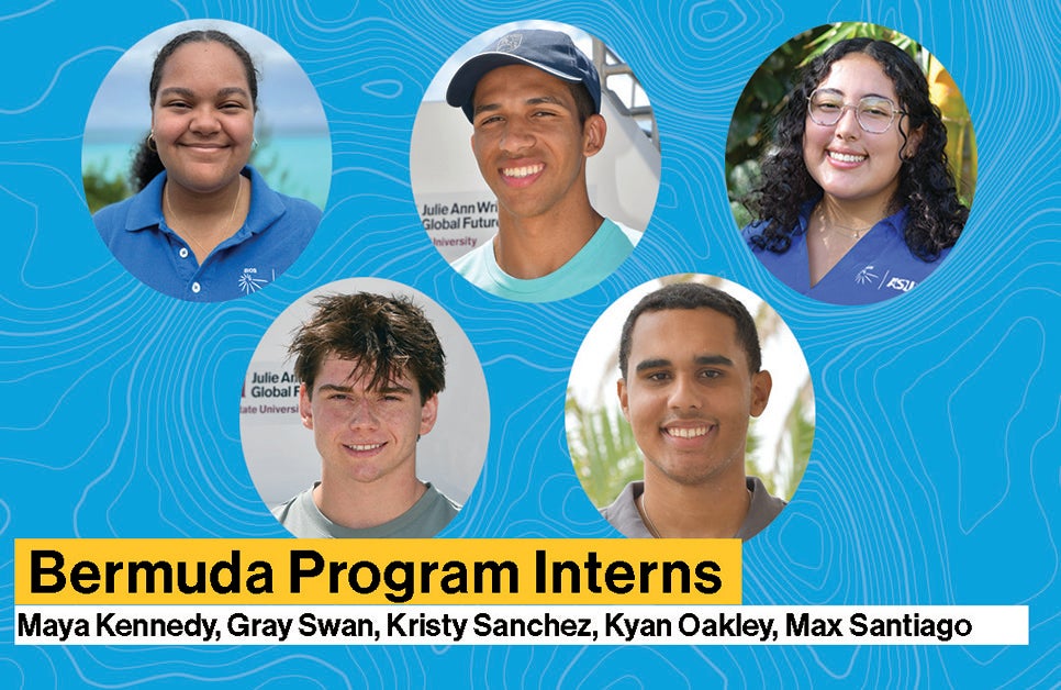 bermuda program interns 