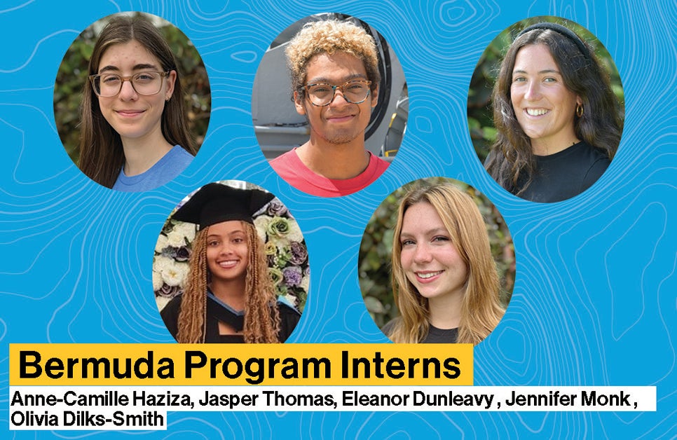 bermuda program interns