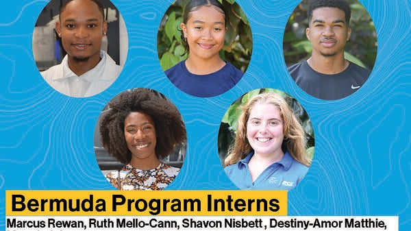 bermuda program interns