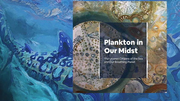 plankton art exhibit